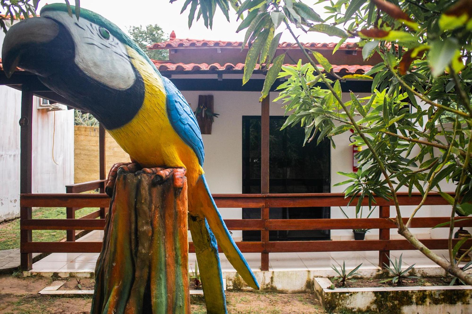Pousada E Restaurante Amazonia ألتر دو تشاو المظهر الخارجي الصورة